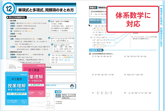 体系数学