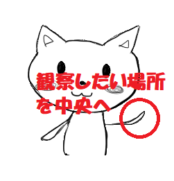 ねこ吉拡大①