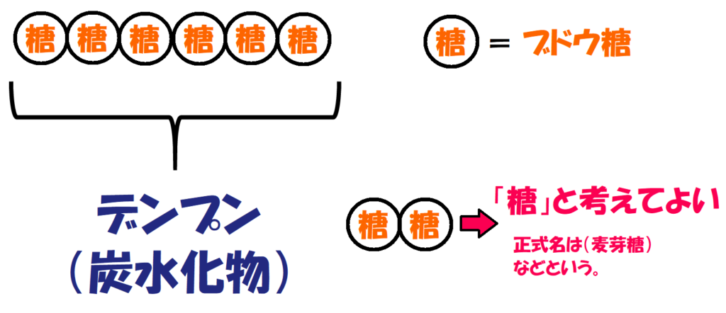 デンプンと糖、麦芽糖の違い