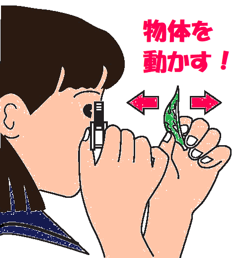 物体が動かせるときのルーペの使い方