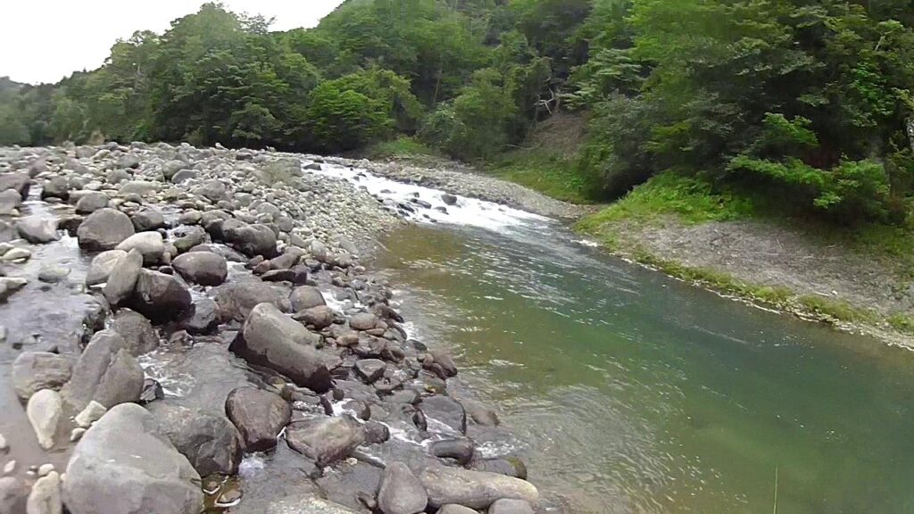 川の中流