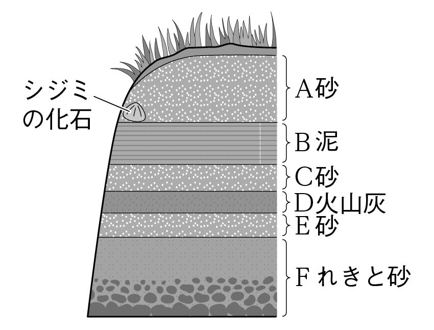 しじみの化石