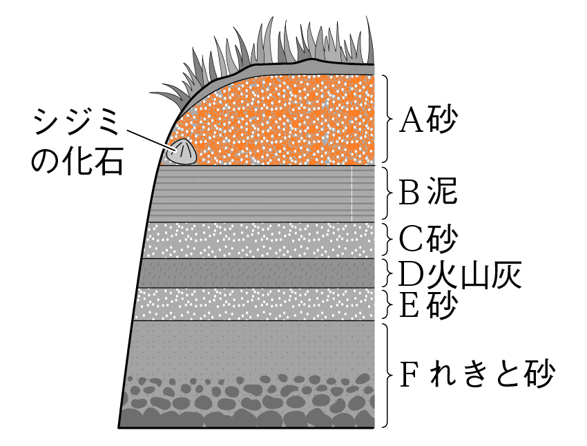 しじみの化石が含まれる地層