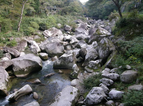 川の上流