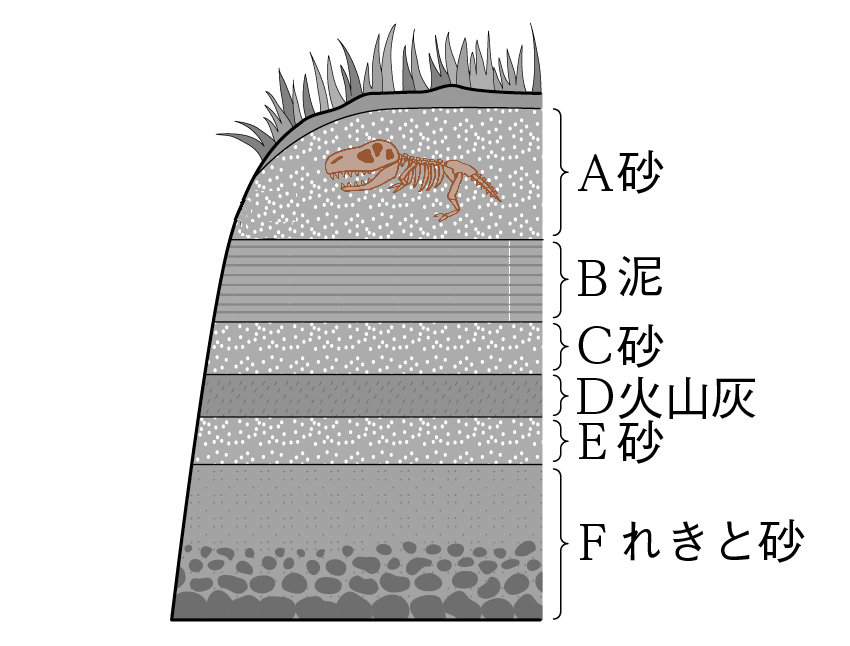 恐竜の化石が含まれる地層