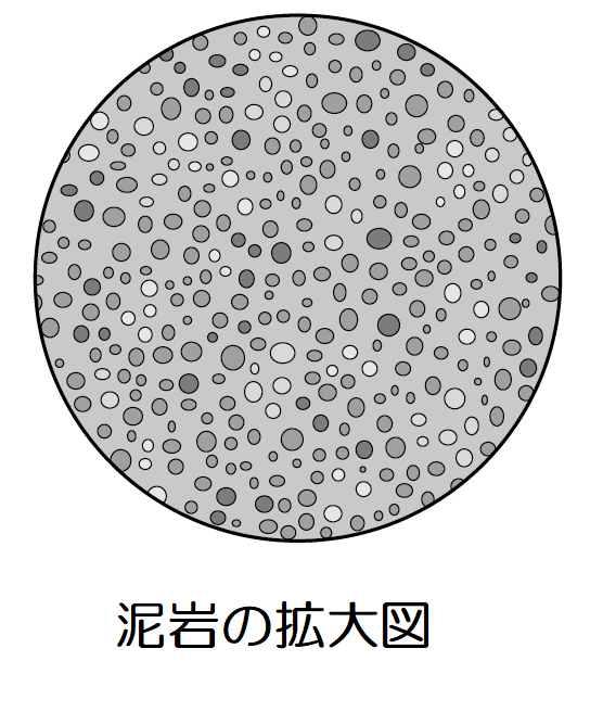 泥岩の拡大図