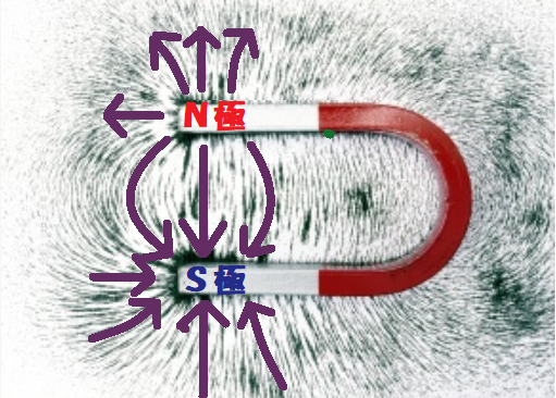Ｕ型磁石のまわりの磁力線の様子