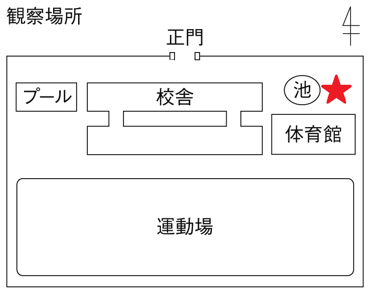 コケの生える場所