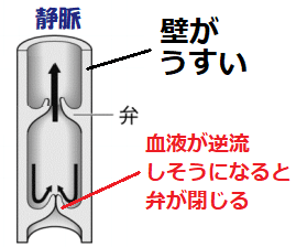 壁がうすい