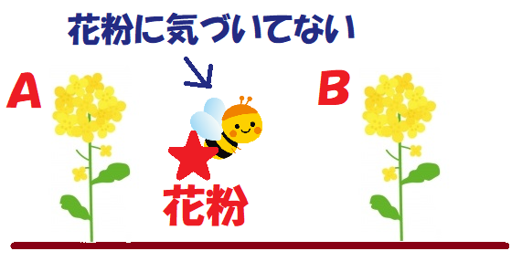 昆虫は花粉に気づかない