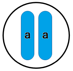 劣性形質の遺伝子