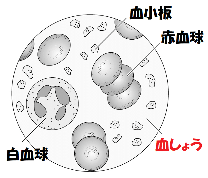 血しょう