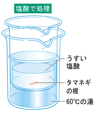 うすい塩酸であたためる