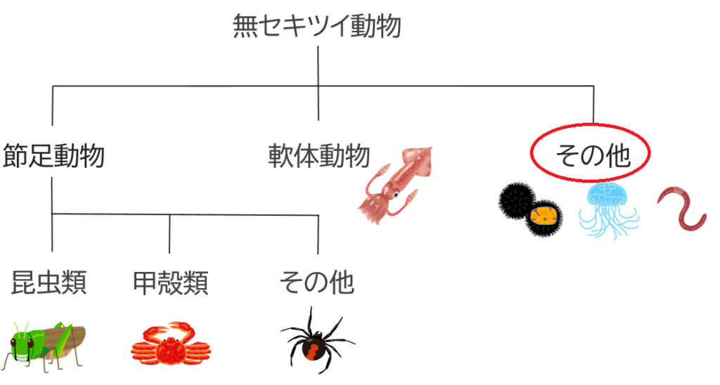 その他の無セキツイ動物の分類