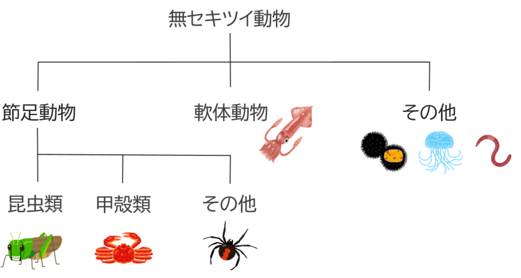 無脊椎動物の分類