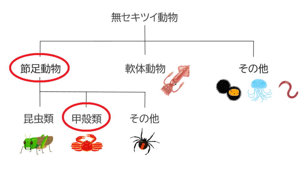 甲殻類