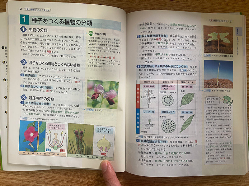 参考書の写真2