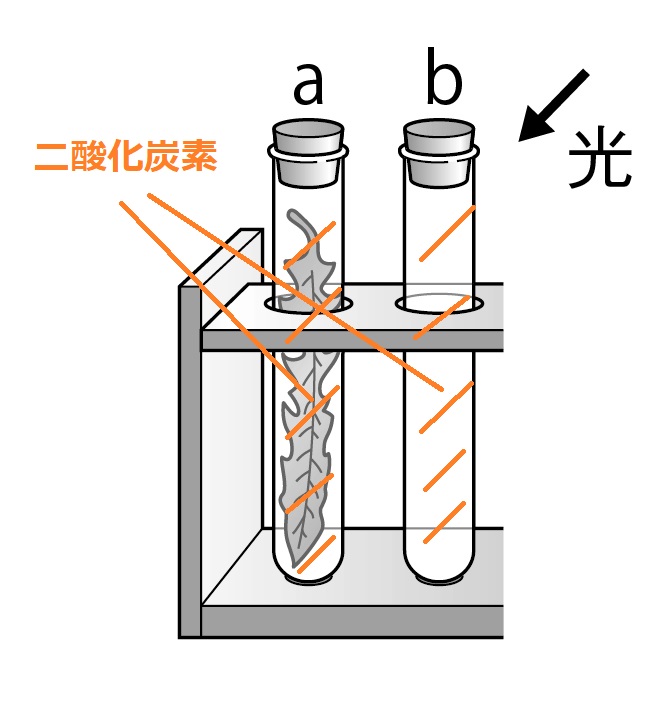 二酸化炭素入りの試験管