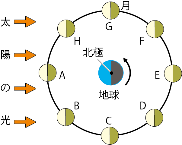 中学理科】月の動きと満ち欠けをわかりやすく解説