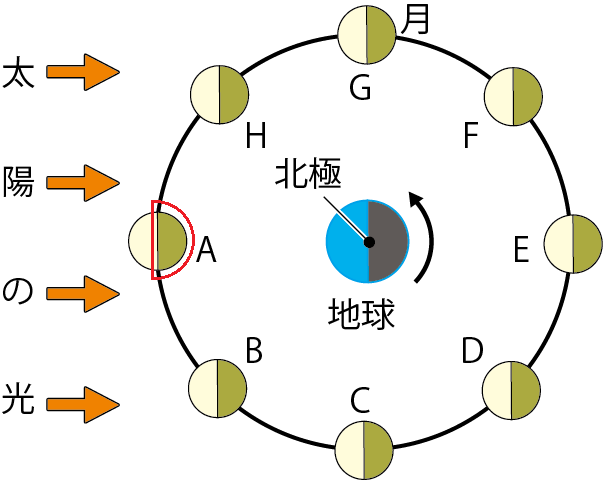 月の見え方A