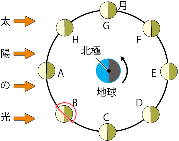 月の見え方B