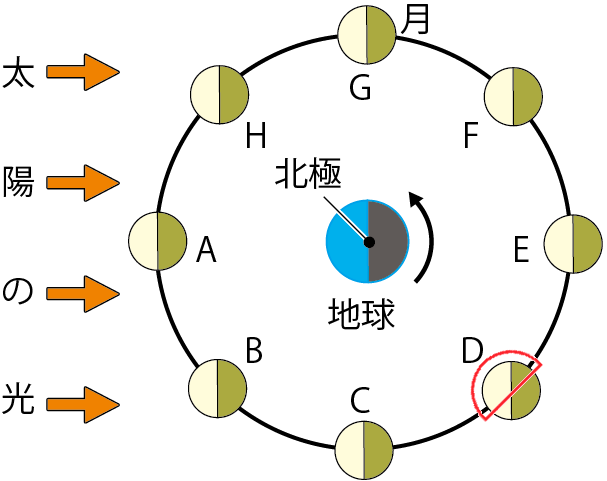 月の見え方D