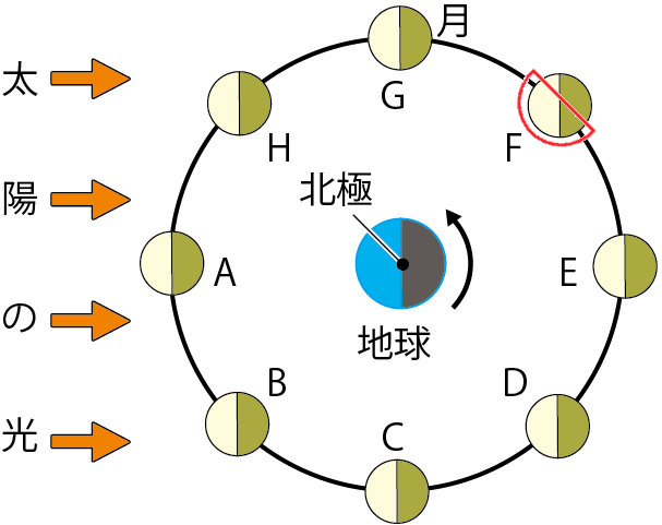 月の見え方F