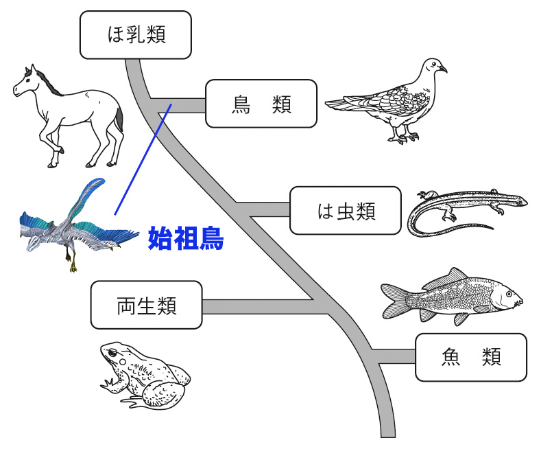 生物の進化