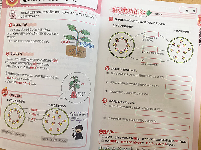 ぐーんっとやさしく中学理科の中身