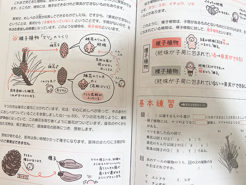 中学理科をひとつひとつわかりやすくの中身