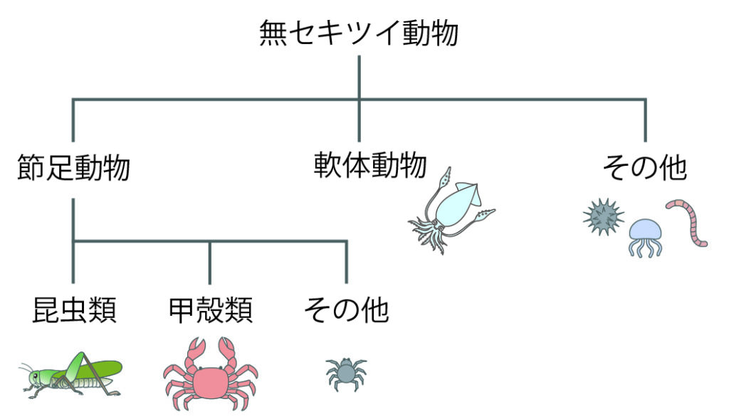 無脊椎動物のなかま