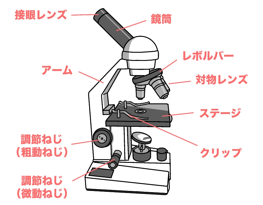 ステージ上下式顕微鏡の名前1a