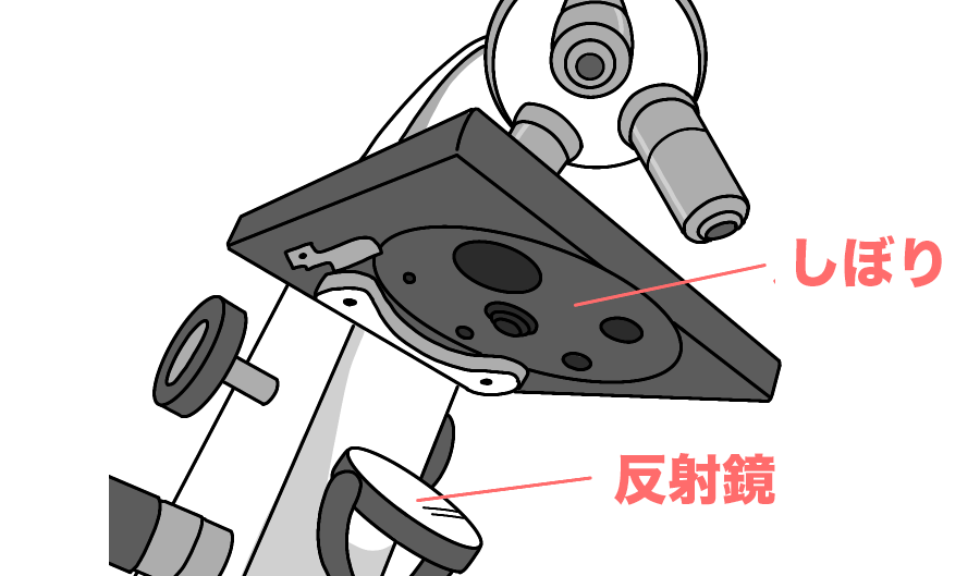 ステージ上下式顕微鏡の名前2b