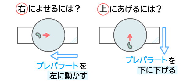 プレパラート動かし