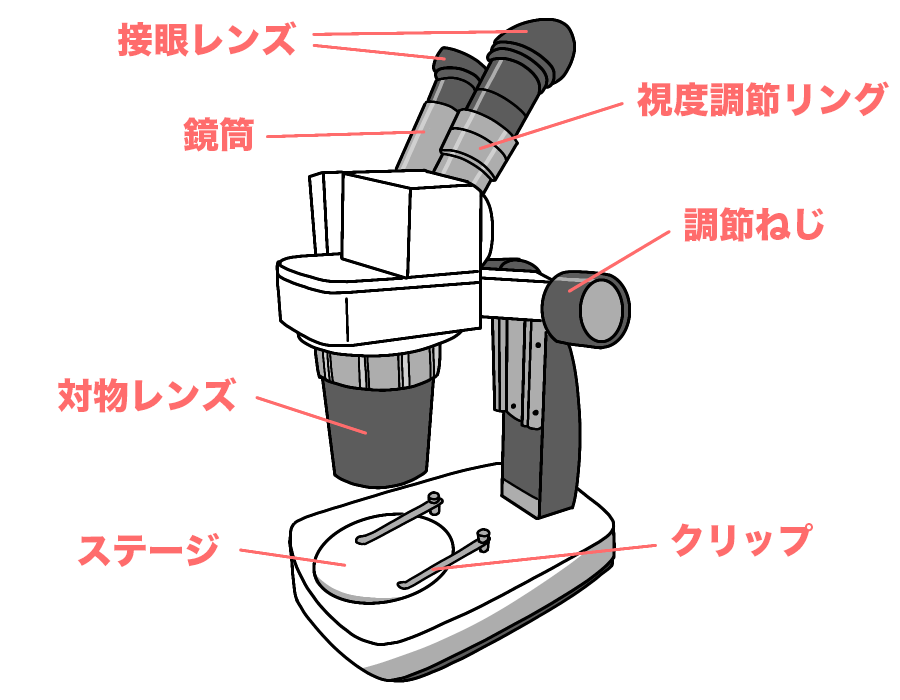 双眼実体顕微鏡名前付き