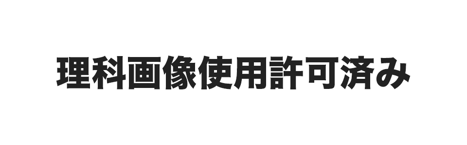 画像使用許可済み