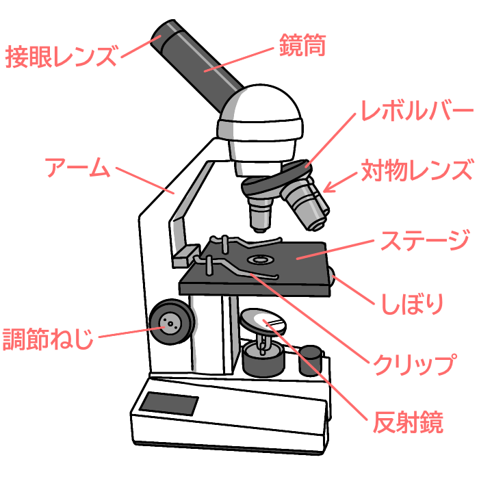 顕微鏡